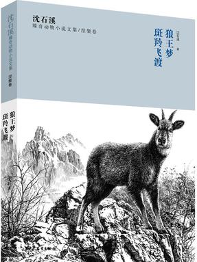 斑羚飞度.pdf