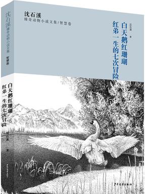 白天鹅.pdf