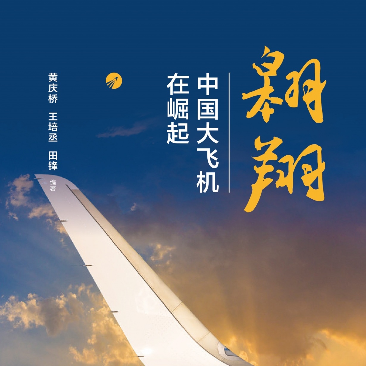翱翔：中国大飞机在崛起【有声书】【精选】.mp3