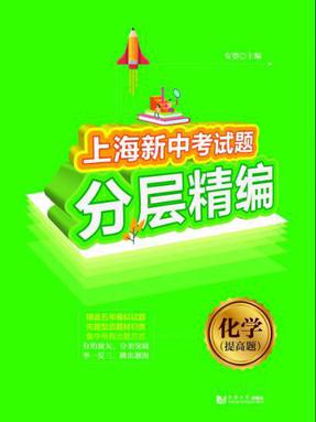 上海新中考试题分层精编 化学（提高题）.pdf