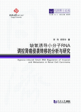 缺氧诱导小分子RNA调控肾癌侵袭转移的分析与研究.pdf