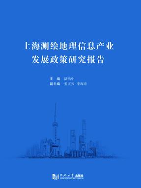 上海测绘地理信息产业发展政策研究报告.pdf